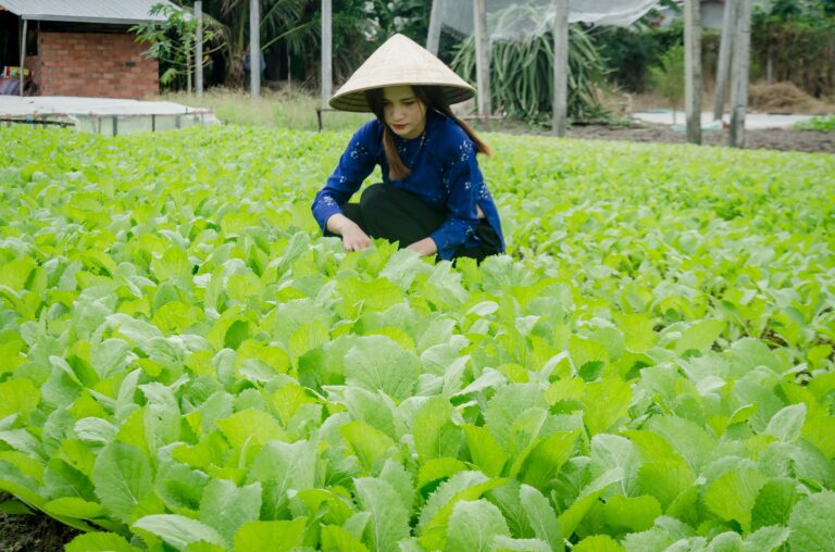 農民退休金開始申請!繳40年月領4.5萬,農退勞退可重疊,實耕者也可參加