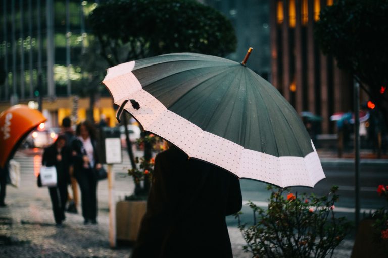 五個主題展覽 香港下雨天出遊備案