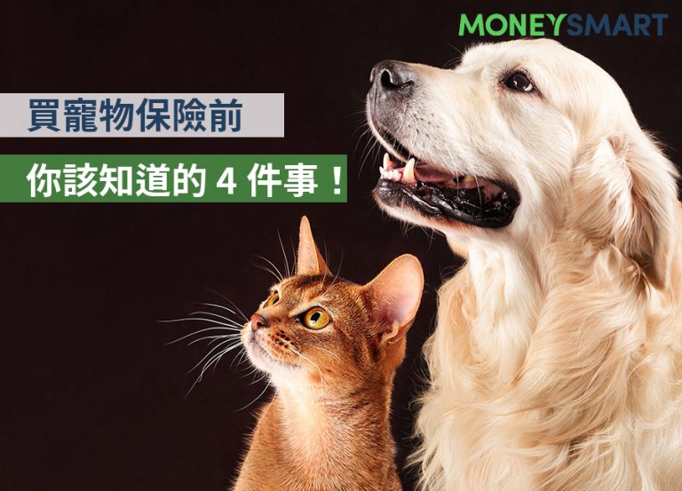 寵物保險停看聽!買寵物險前你該知道的 4 件事