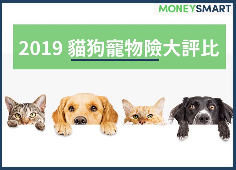 你家毛小孩保險了嗎?2019最新貓狗寵物險 推薦(2019.10.05更新)