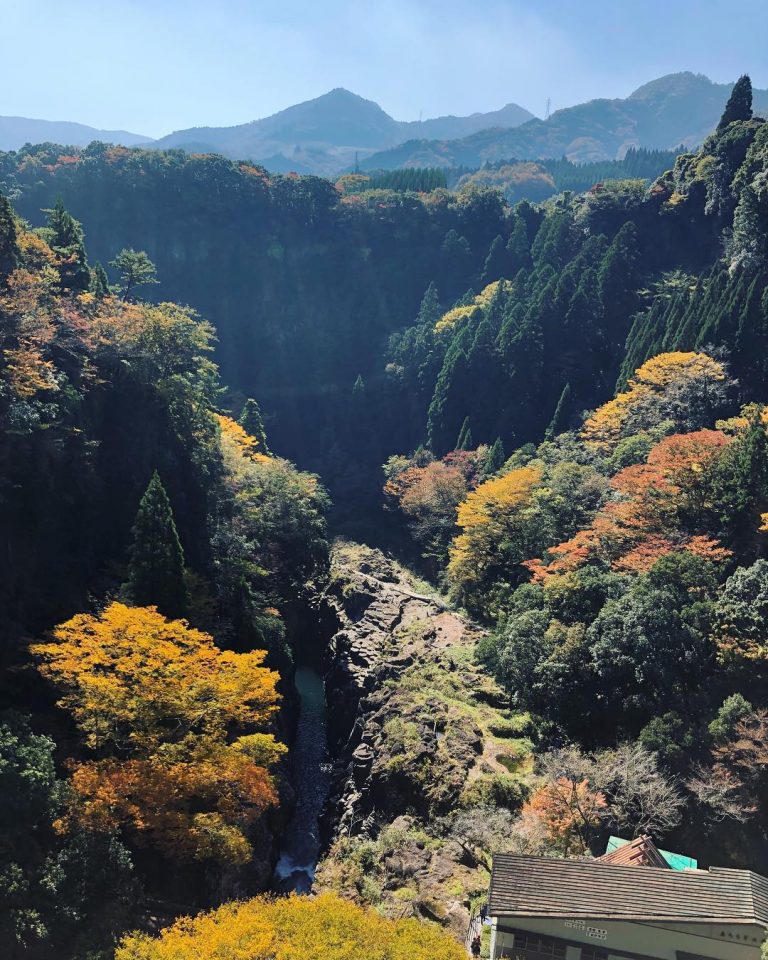 遊日本南九洲 公車周遊券實測全攻略