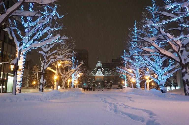 北海道賞雪！6種技巧安全趴趴走！